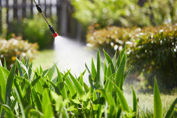 24/7 Emergency Termite Control experts in Arthurdale, WV